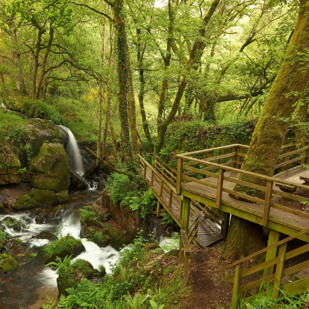 Cascadas en Aranteiro, Orose, Galicice