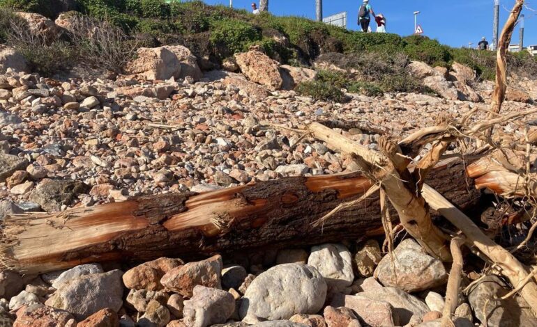 Toneladas de residuos de la DANA recalan en playas a 200 kilómetros de Valencia