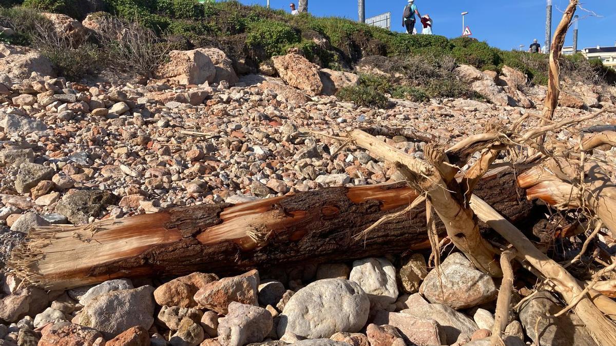 Toneladas de residuos de la DANA recalan en playas a 200 kilómetros de Valencia