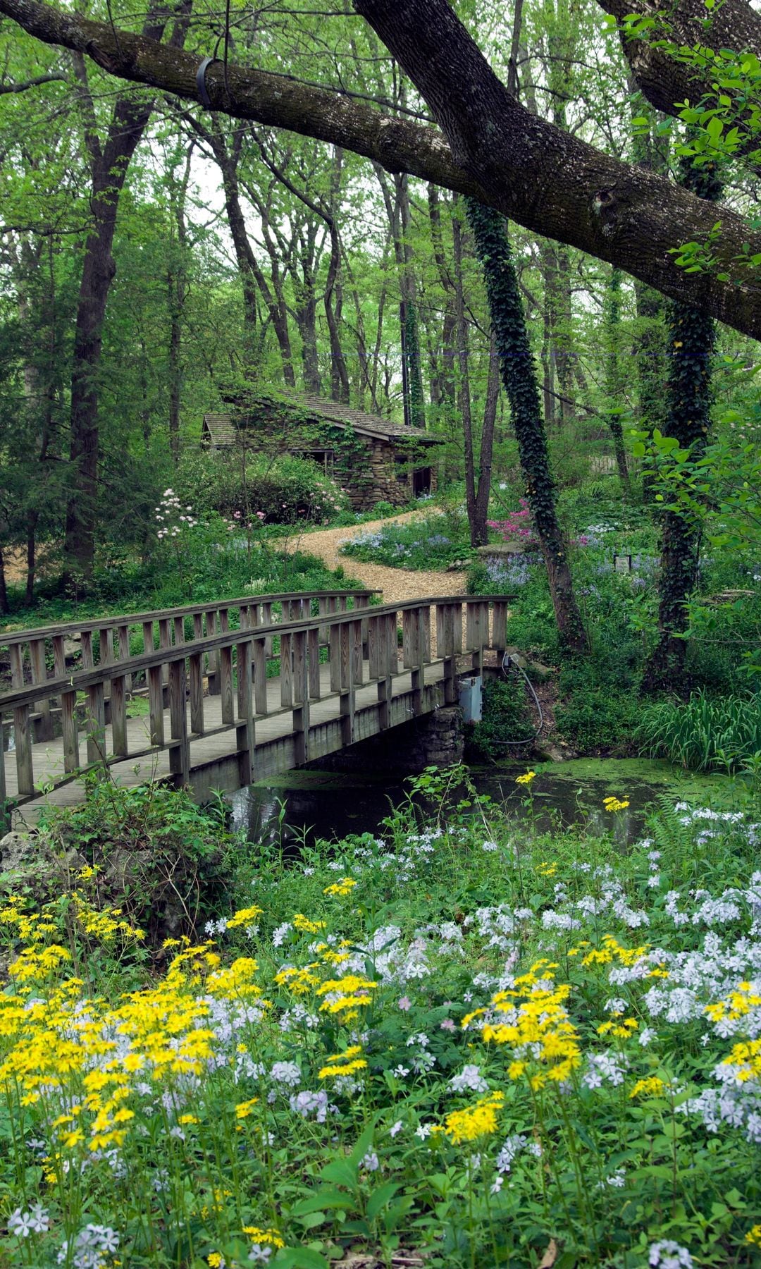 Jardín Botánico Cheekwood, Nashville, Tennessee 