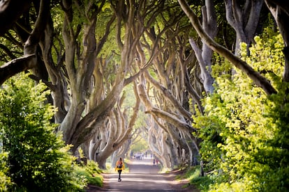 The Dark Hedges fue uno de los enclaves de Irlanda del Norte donde se rodaron escenas de la serie 'Juego de tronos'.