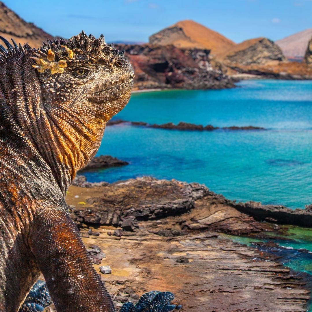 Islas Galápagos, Ecuador