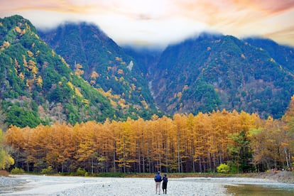 Paisaje otoñal en el Parque Nacional Kamikochi en los Alpes japoneses, Prefectura de Nagano.