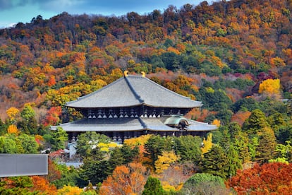 Vista del templo Todaiji en la ciudad japonesa de Nara.