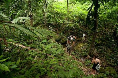 Un grupo de excursionistas recorre el Parque Nacional Pico Bonito (Honduras).