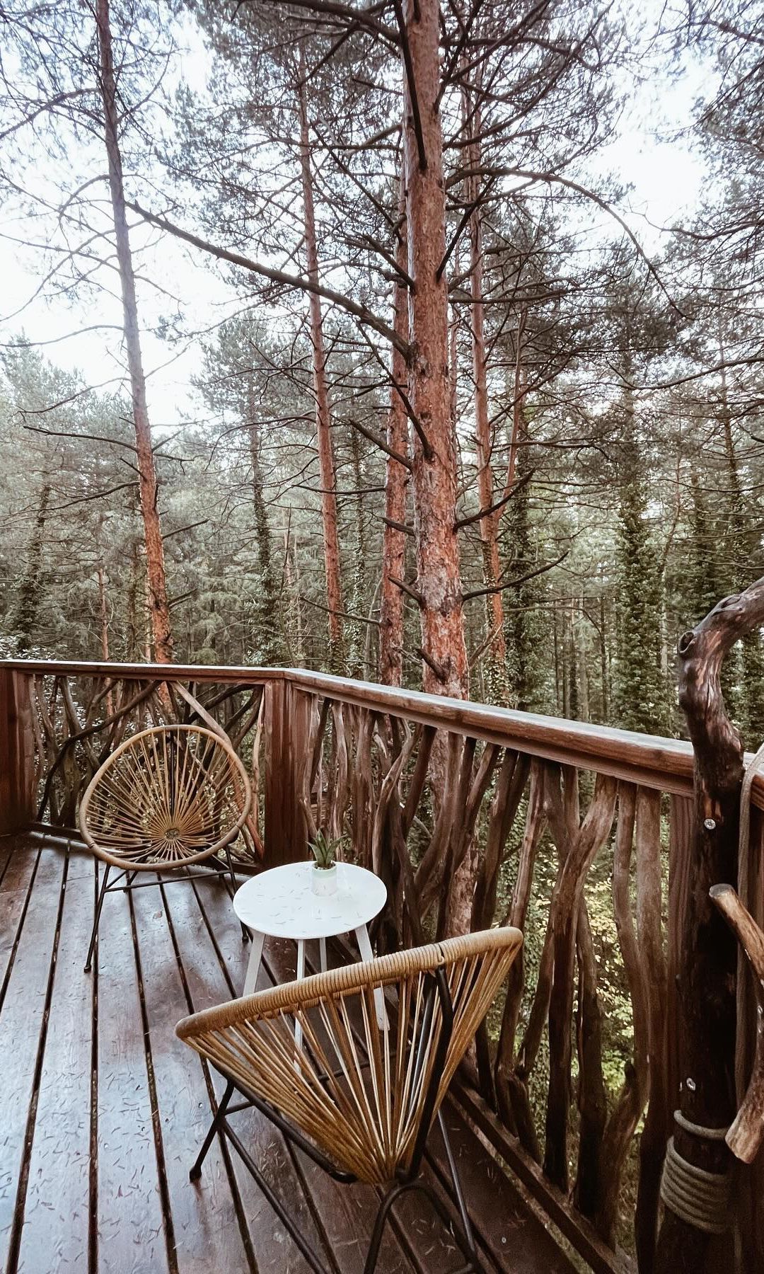 Terraza de Cabanes als Arbres, casa del árbol en Cataluña