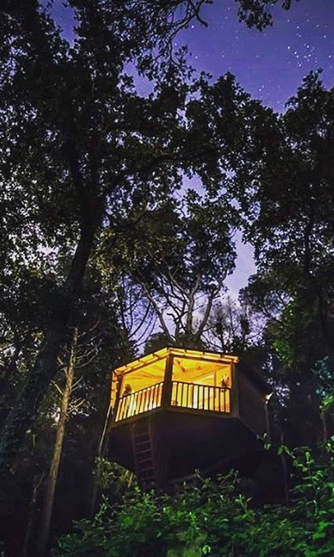 Cabaña de noche entre los árboles, Cabañas Dosrius en Barcelona