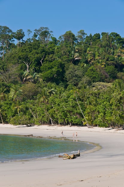 La belleza de las playas de Manuel Antonio.