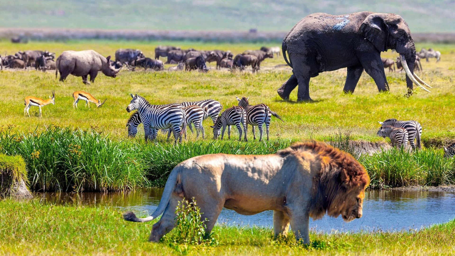 Paisaje y vida silvestre de Tanzania.