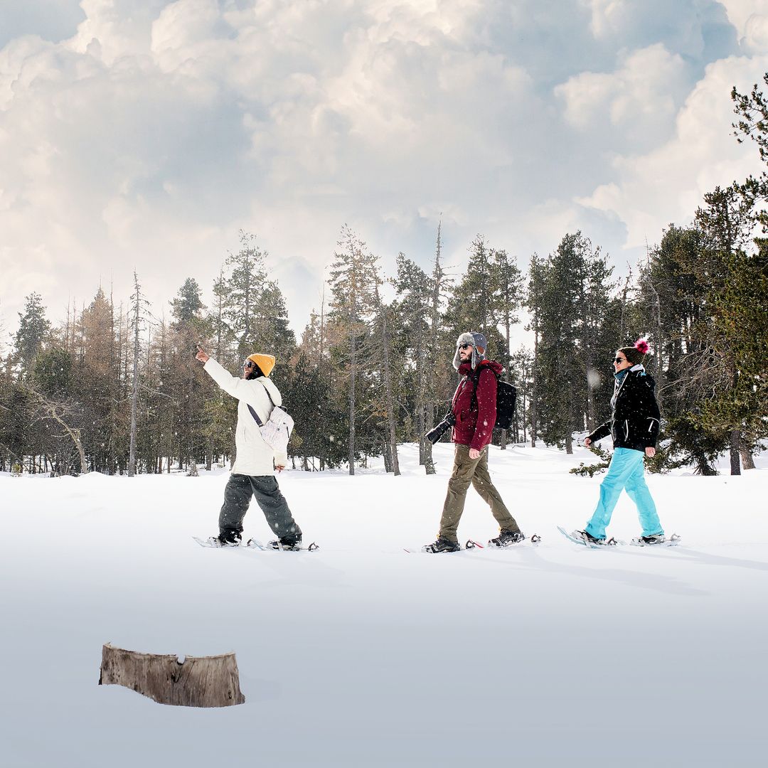 Raquetas de nieve, Sierra d'Urbión