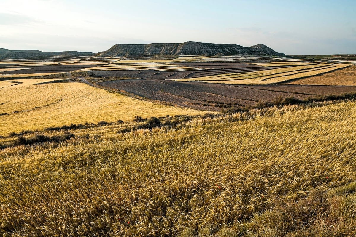 Ruta de los Monegros y el Desierto de las Cartujas