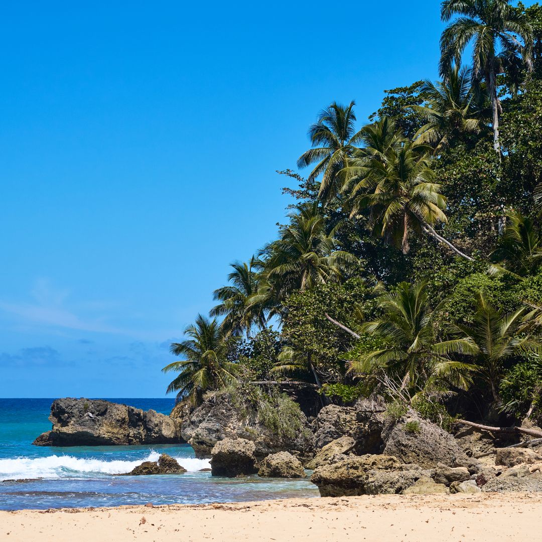 En la región de Río San Juan, en República Dominicana, se encuentran algunas de las playas de arena más hermosas del Caribe, como la Playa Caletón.