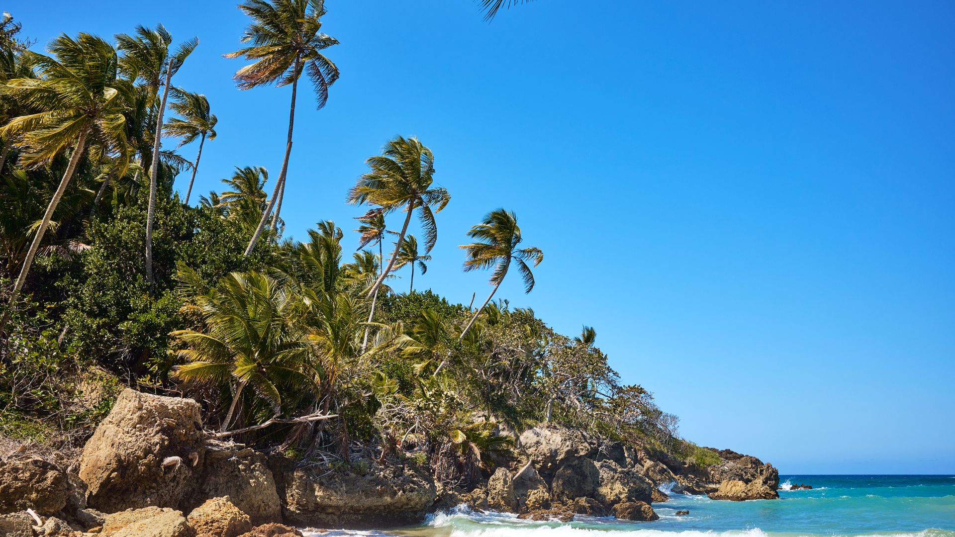 En la región de Río San Juan de República Dominicana se encuentran algunas de las playas de arena más hermosas del Caribe, como Playa Grande.