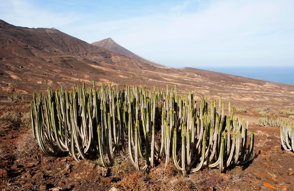 Parque Natural de Cofete en Jandía, Fuerteventura