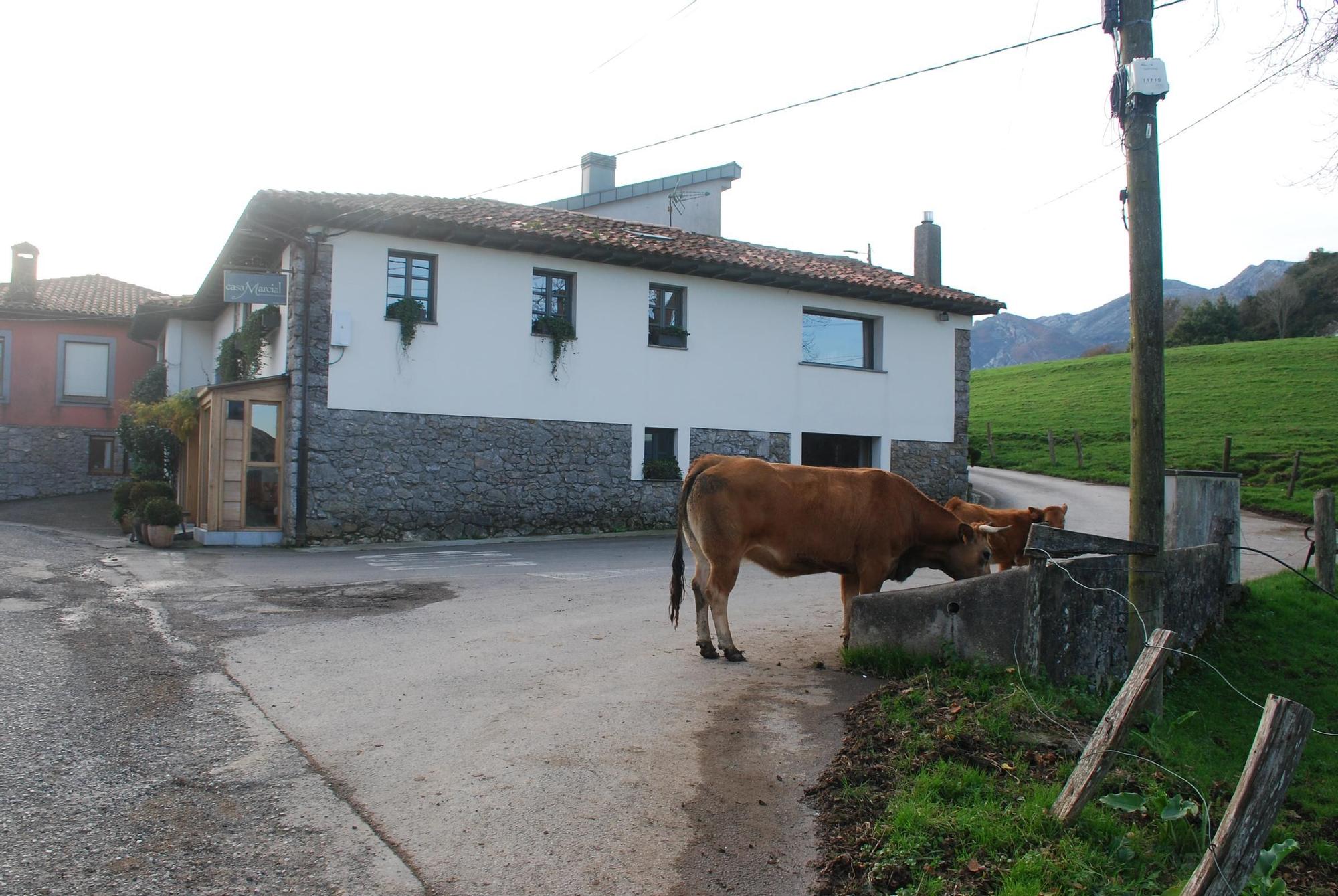 La celebración en Casa Marcial por la tercera estrella Michelin