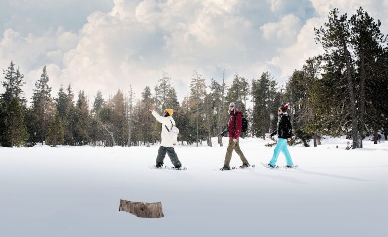 Desmárcate de los planes navideños con estas 4 escapadas cortas por España