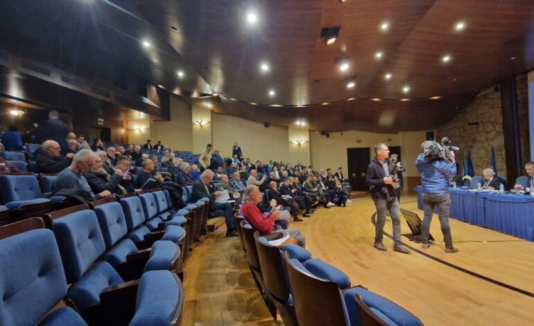 Del “Carrión se rio de nosotros” a halcones para espantar las palomas del Tartiere: Las intervenciones más llamativas de la junta de accionistas del Oviedo