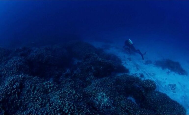 CORAL DOS CAMPOS DE FÚTBOL