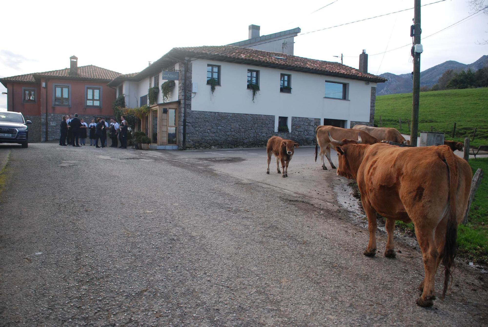 La celebración en Casa Marcial por la tercera estrella Michelin