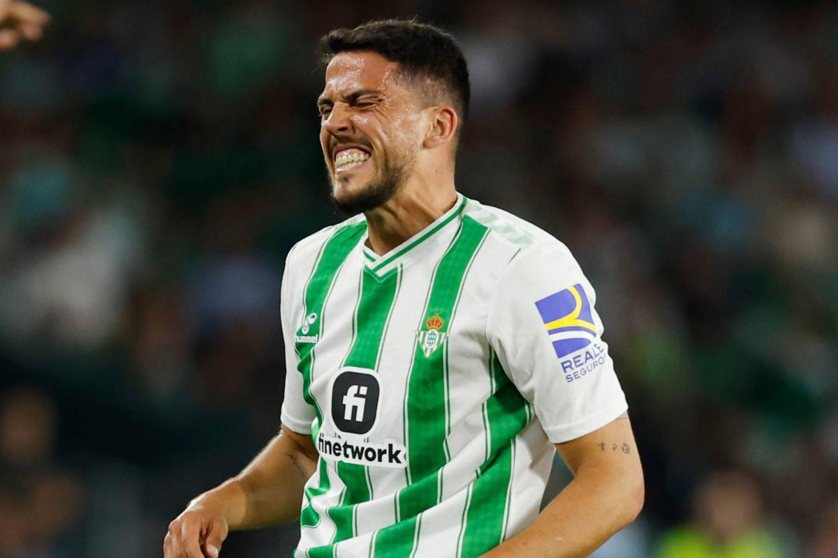 Betis: Más problemas para el centro del campo del Betis: Fornals, seria duda para Valencia