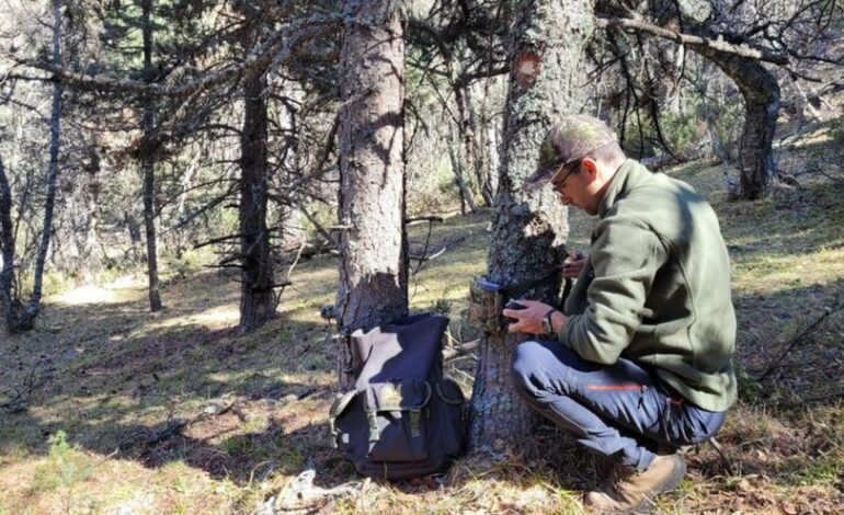 Científicos asturianos optimicen el cálculu d’animales con cámares