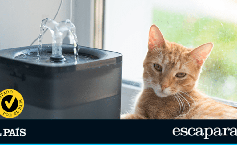 Las mejores fuentes de agua automáticas para mascotas | Escaparate: compras y ofertas