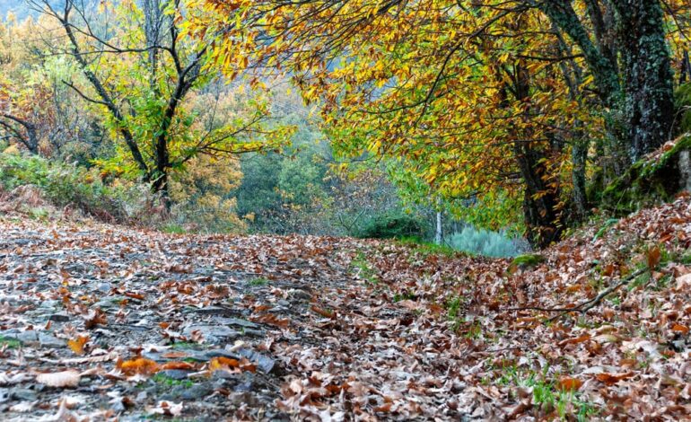 Extremadura presenta su oferta turística para este otoño