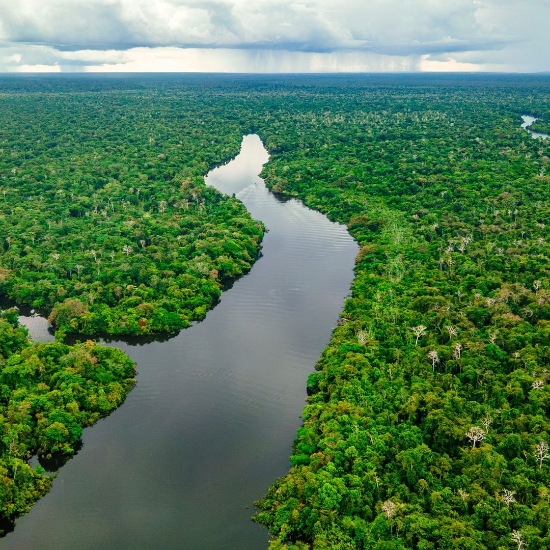 selva amazónica