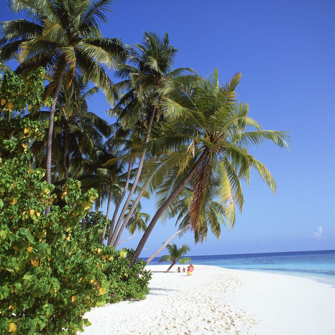 Playa tropical de Kuda Bandos, isla de Bandos, Maldivas