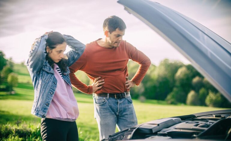 ¿Qué modelos de coche montan motores de otras marcas?