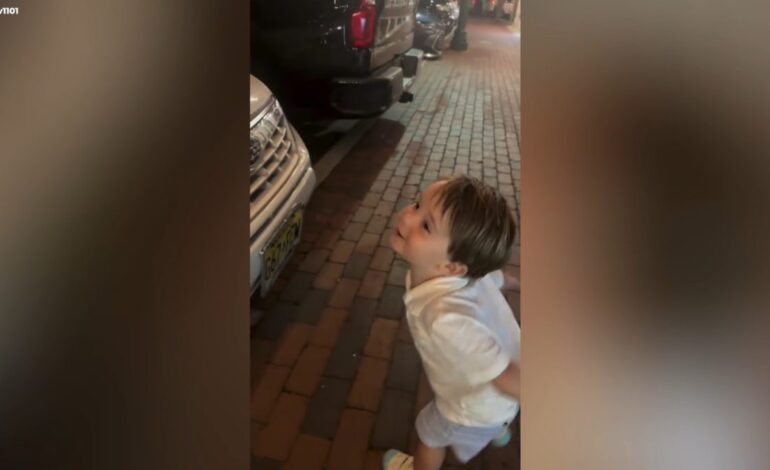 Este pequeño de dos años se sabe a la perfección las marcas de coches, pero hay una que le gusta especialmente