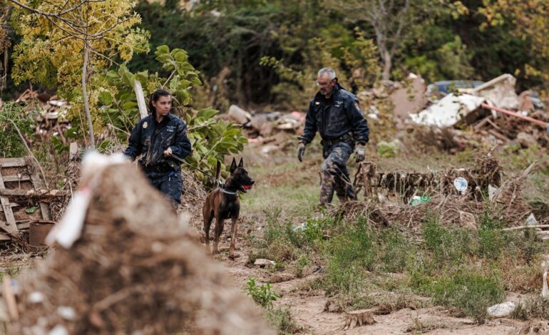 Encuentran un cuerpo en un descampado de Sedaví durante la búsqueda de desaparecidos por la DANA