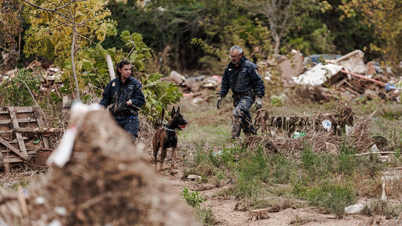 Encuentran un cuerpo en un descampado de Sedaví durante la búsqueda de desaparecidos por la DANA