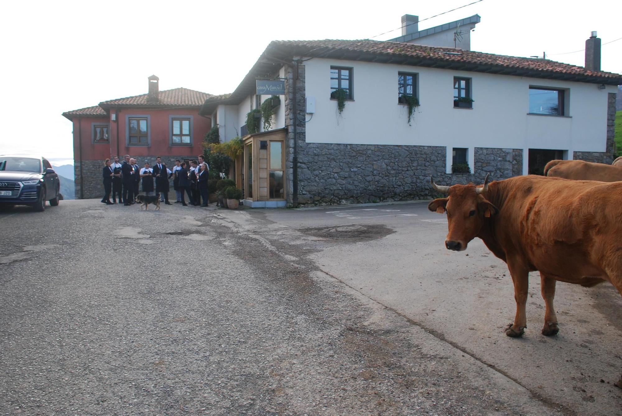 La celebración en Casa Marcial por la tercera estrella Michelin