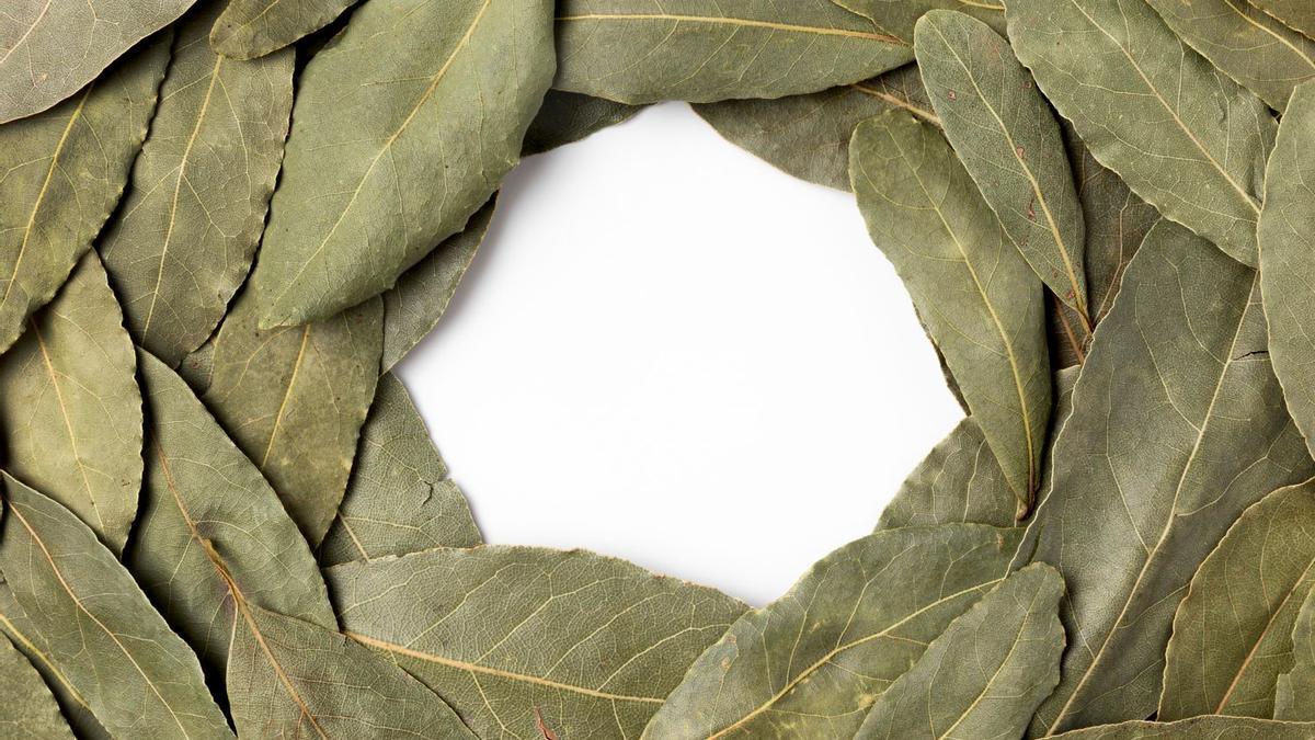 TRUCO LAUREL | El motivo por el que la gente pone una hoja de laurel debajo de la almohada