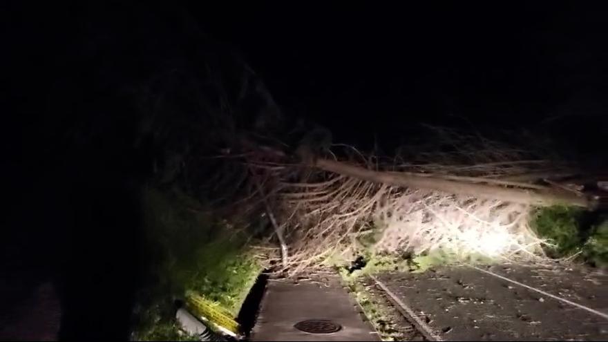 Cortada la Nacional 632 entre Colunga y La Isla por el derribo de árboles por el fuerte viento