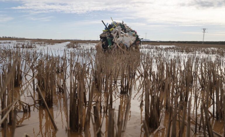 Peligra la pesca, la fauna y el arrozal