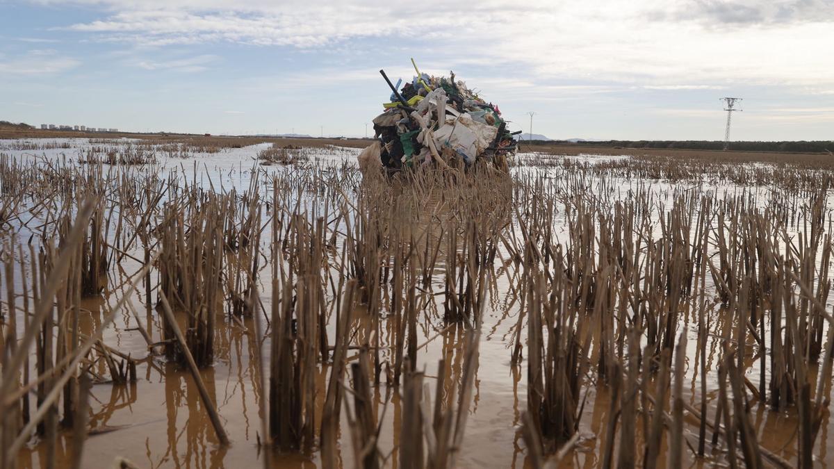 Peligra la pesca, la fauna y el arrozal