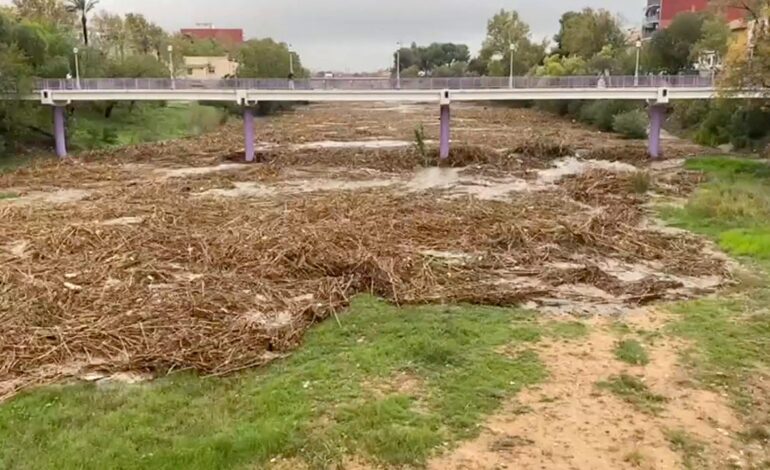 ¿Cómo pudo afectar la vegetación en las inundaciones de la DANA? El científico del CSIC Fernando Valladares da la respuesta