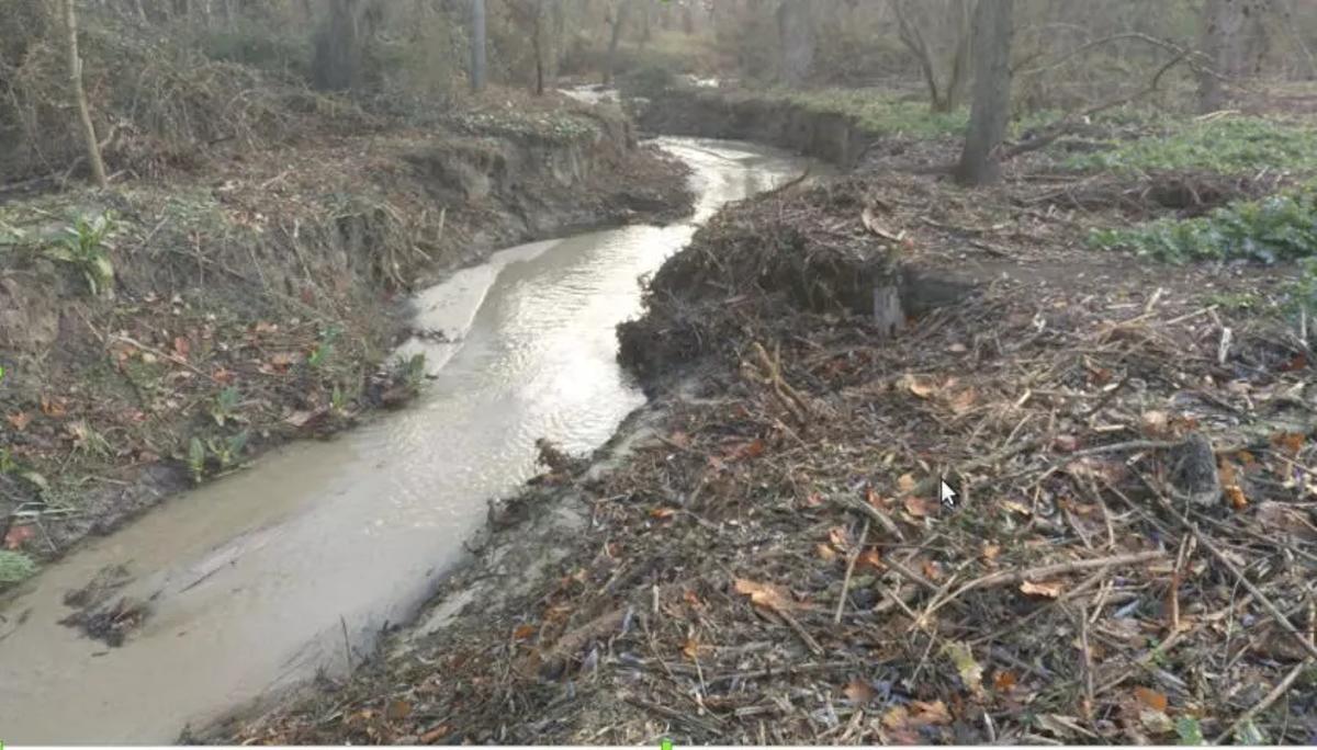 Torrente arrasado por una limpieza excesiva de vegetació en Madrid