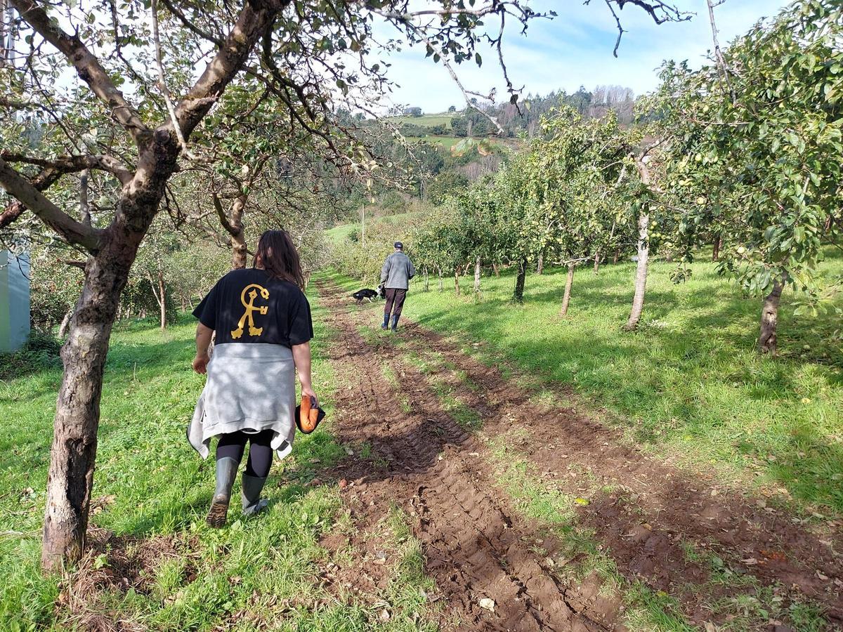 La pomarada de Solleiro, en pleno centro de Taramundi.