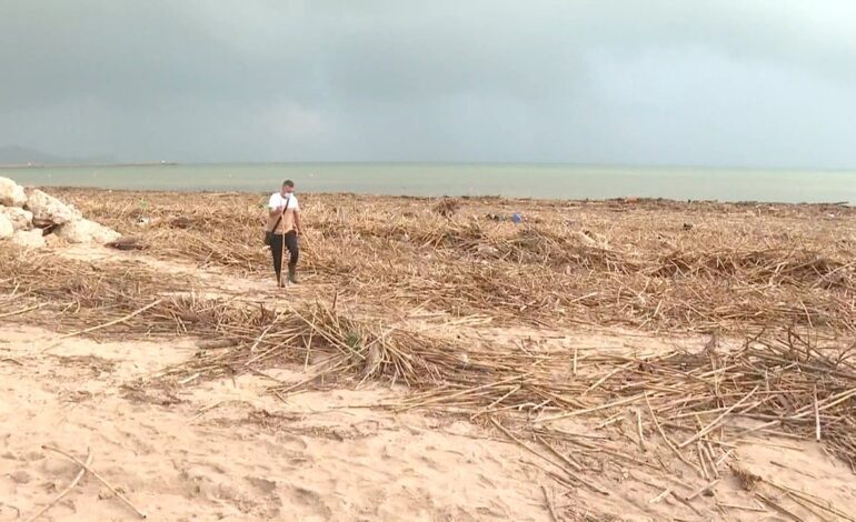 Retirar las cañas y fomentar el Bosque de Ribera para aminorar las Danas