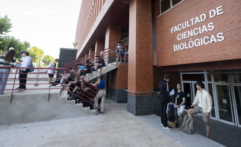 La guía clave para comprender cada término en la solicitud de una beca