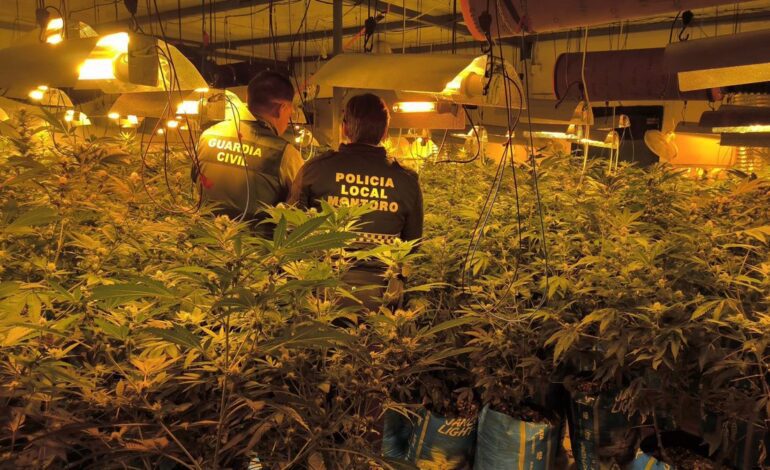 La Guardia Civil detiene a un hombre que cultivaba marihuana en un polígono industrial de Montoro (Córdoba)