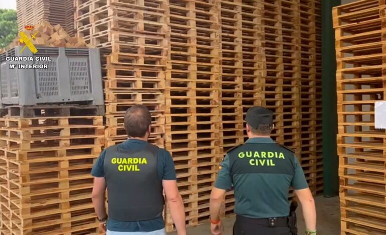 Recuperan más de 800 palés adquiridos tras estafar a una empresa de Lepe (Huelva) con transferencia falsa