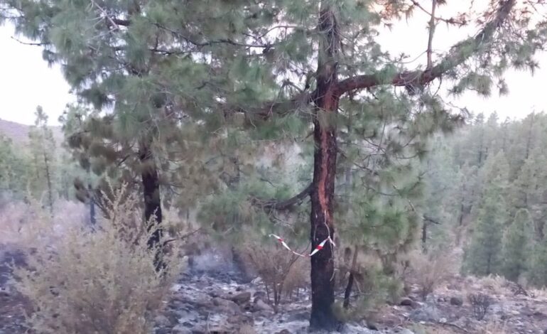 Controlados los dos conatos de incendio forestal en Guía de Isora (Tenerife)