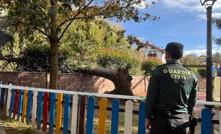 El viento derriba un árbol de grandes dimensiones en un parque infantil de Elizondo