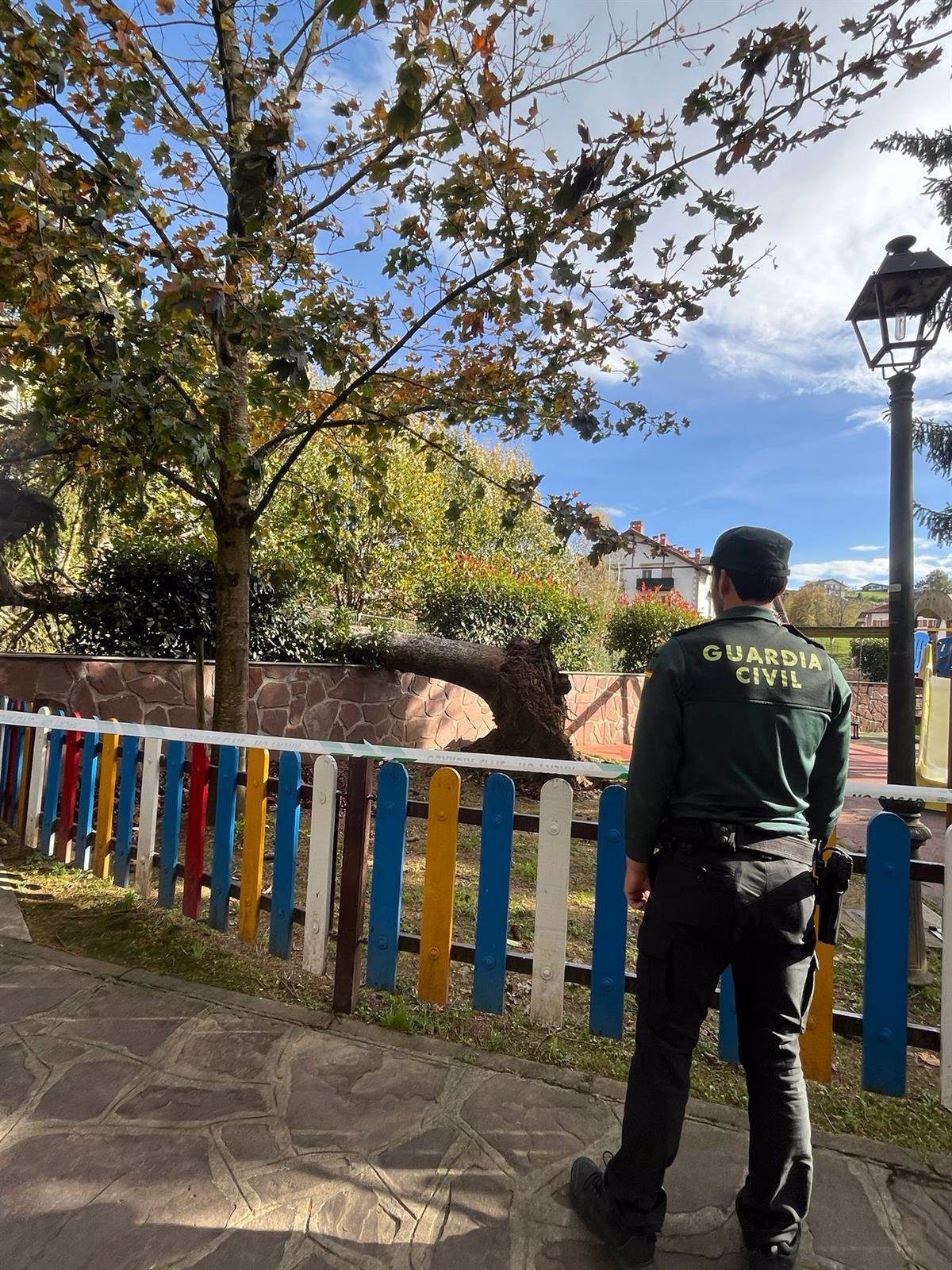 El viento derriba un árbol de grandes dimensiones en un parque infantil de Elizondo