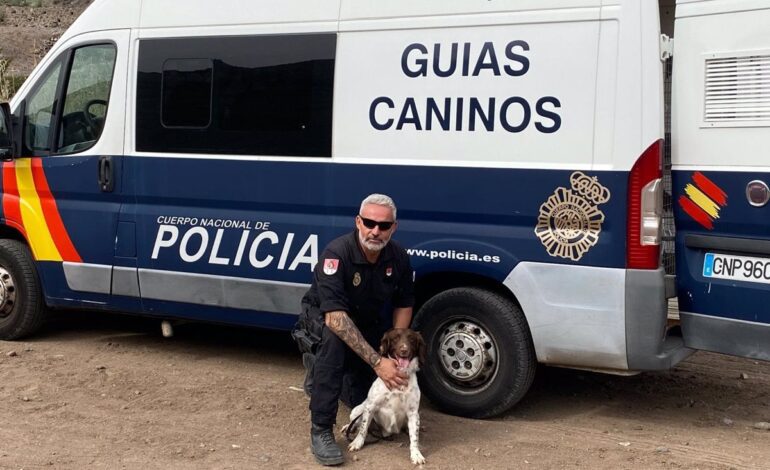 ‘Rony’ y su guía canino viajarán desde Canarias a Valencia para colaborar en la búsqueda de desaparecidos