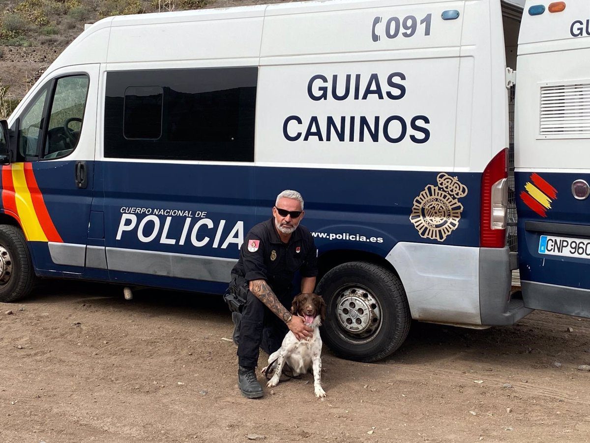 ‘Rony’ y su guía canino viajarán desde Canarias a Valencia para colaborar en la búsqueda de desaparecidos